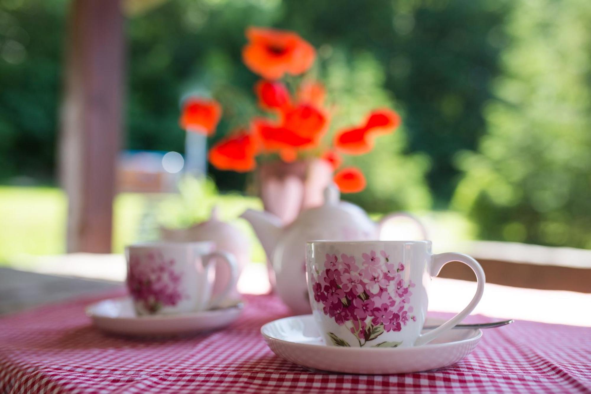 Gosciniec Malinowka Bed & Breakfast Krzeszna Eksteriør bilde